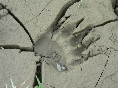 b0209862_1654478.jpg