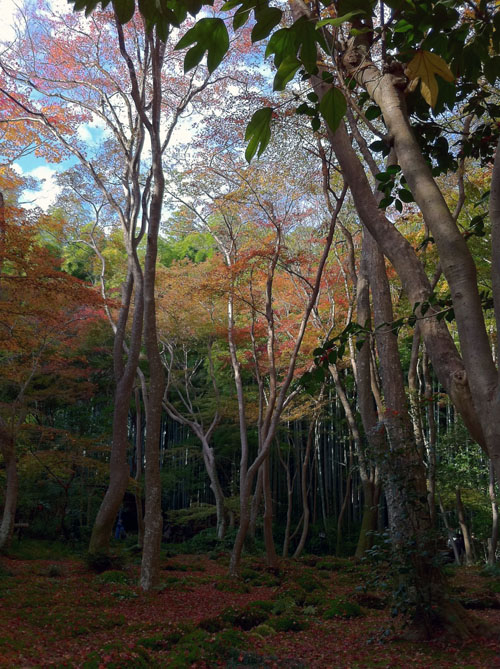 f0233666_19523892.jpg