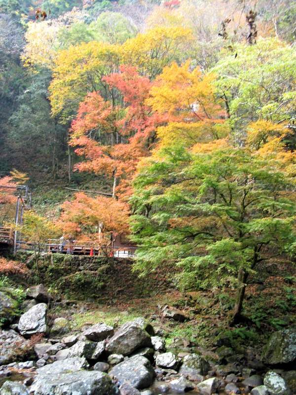 赤目四十八滝 香落渓 紅葉 色即是空68 赤目四十八滝 香落渓 紅葉 色即是空68