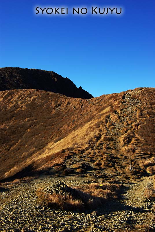 f0173067_14211880.jpg