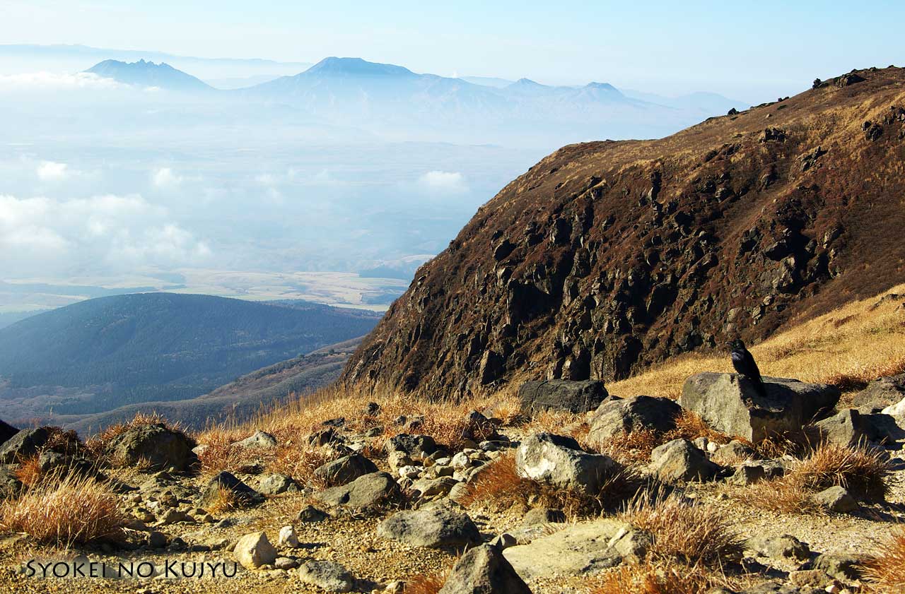 f0173067_14331556.jpg