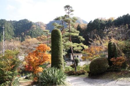 紅葉_a0117168_12125637.jpg