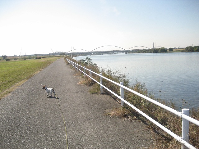 e0106372_1341826.jpg