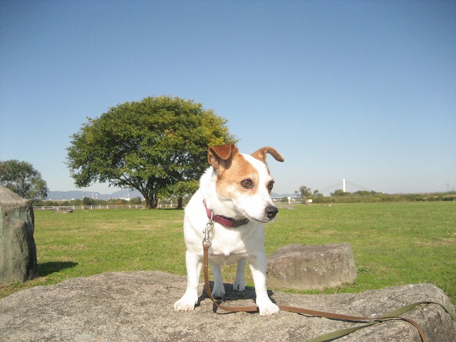 e0106372_135457.jpg