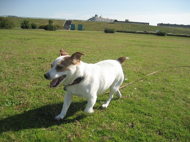 e0106372_136213.jpg