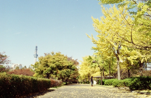 c0124773_23525555.jpg