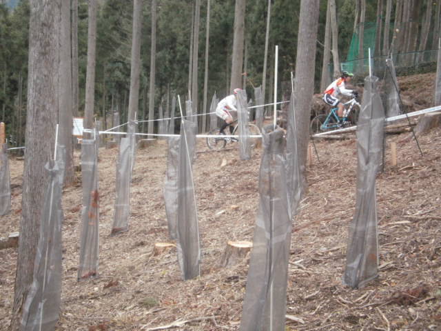 e0124473_1829554.jpg