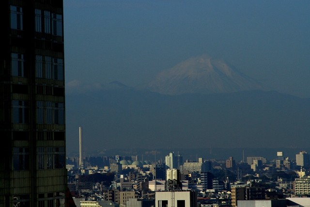 東京へ行って来ました　　10/11/19~21_d0126577_1739587.jpg