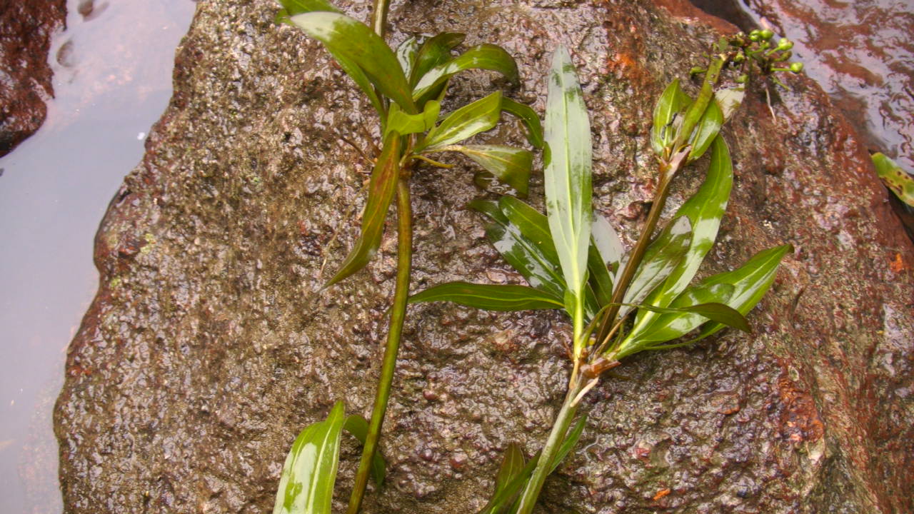 a0067578_9045.jpg