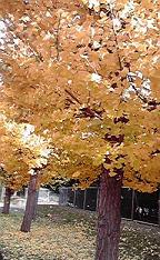 f0098680_0284882.jpg