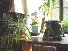 c0057781_1375082.jpg
