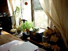 c0057781_1382510.jpg