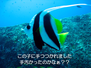 波がないって最高♪_f0144385_12232910.jpg