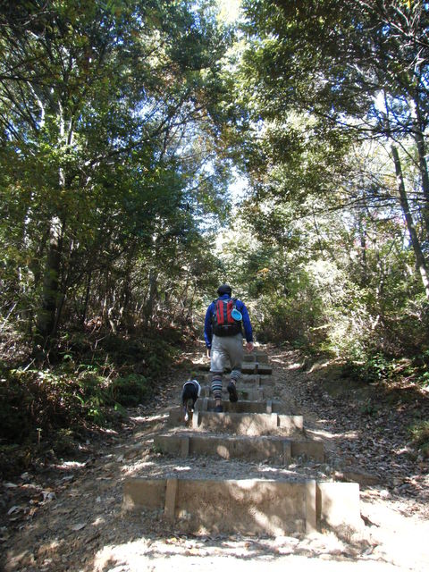c0092787_11113420.jpg