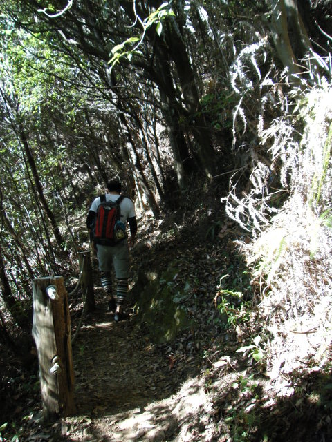 c0092787_11124034.jpg
