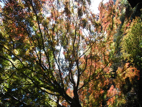 c0092787_1115677.jpg