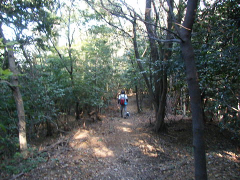 c0092787_11281271.jpg