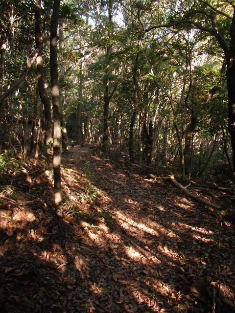 c0092787_1129450.jpg