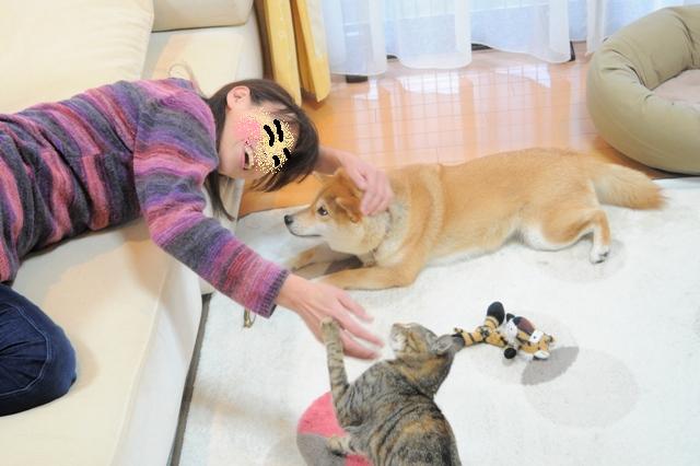 癒しの時間_a0126590_524430.jpg