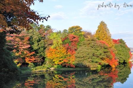 富山散歩～県西部76～水濠の城、紅く染まる～高岡城紅葉_b0155692_2021259.jpg