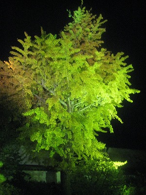 c0078592_20142320.jpg