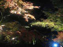 c0078592_20315757.gif