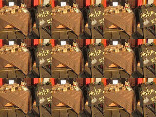 c0078592_23373470.gif