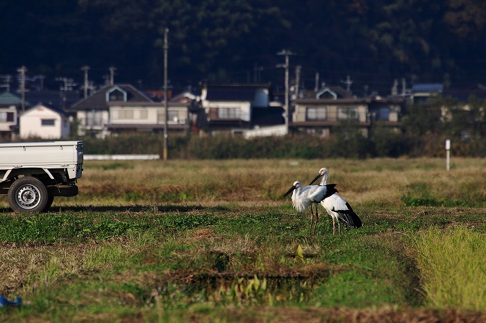 旅立ち_f0174293_7362999.jpg