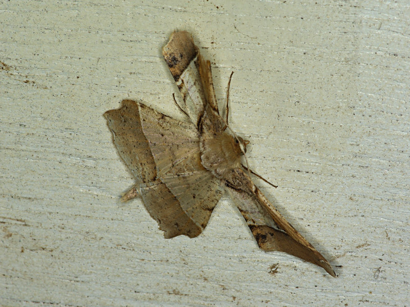 f0204094_208298.jpg