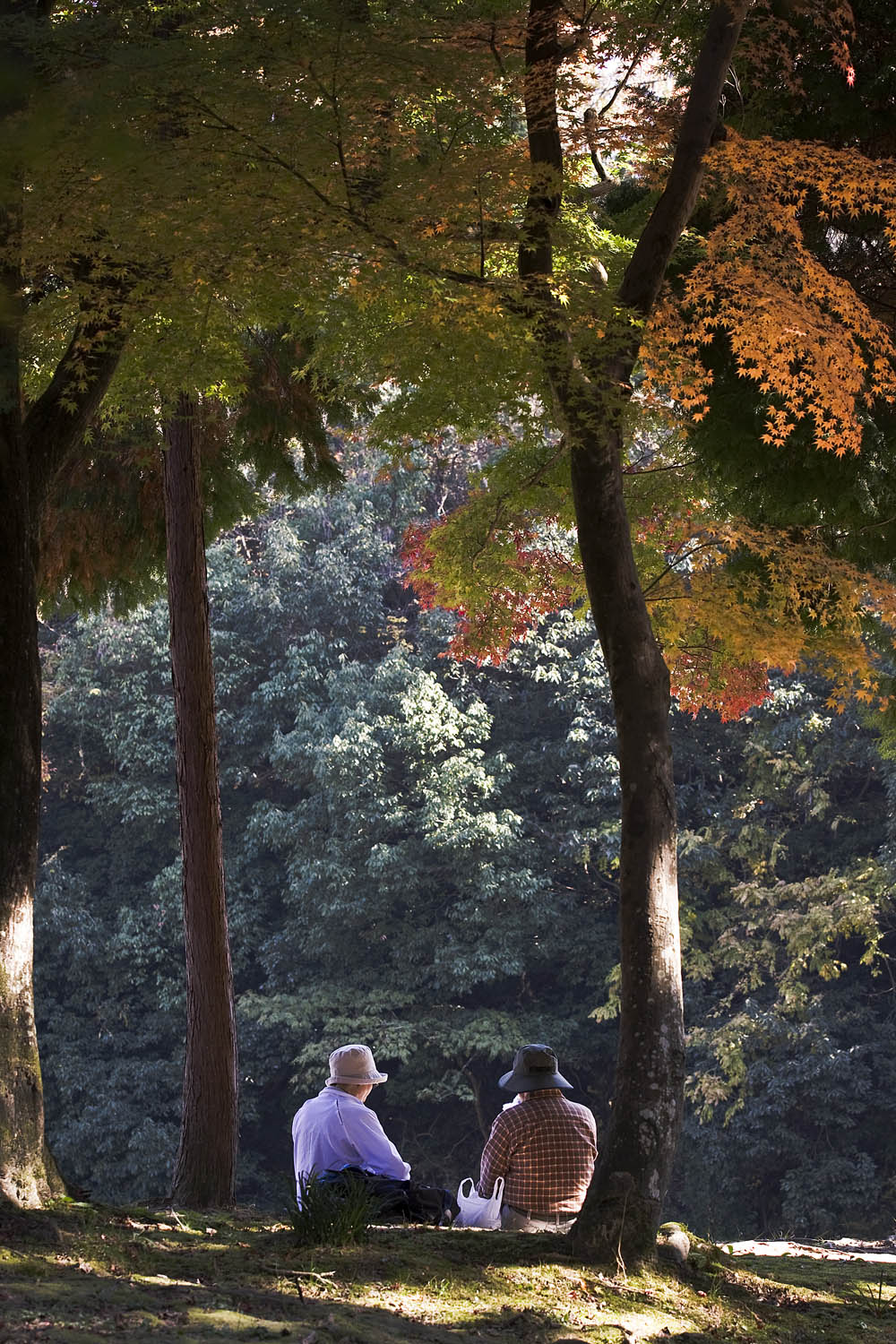 国宝永保寺_b0126495_6281517.jpg