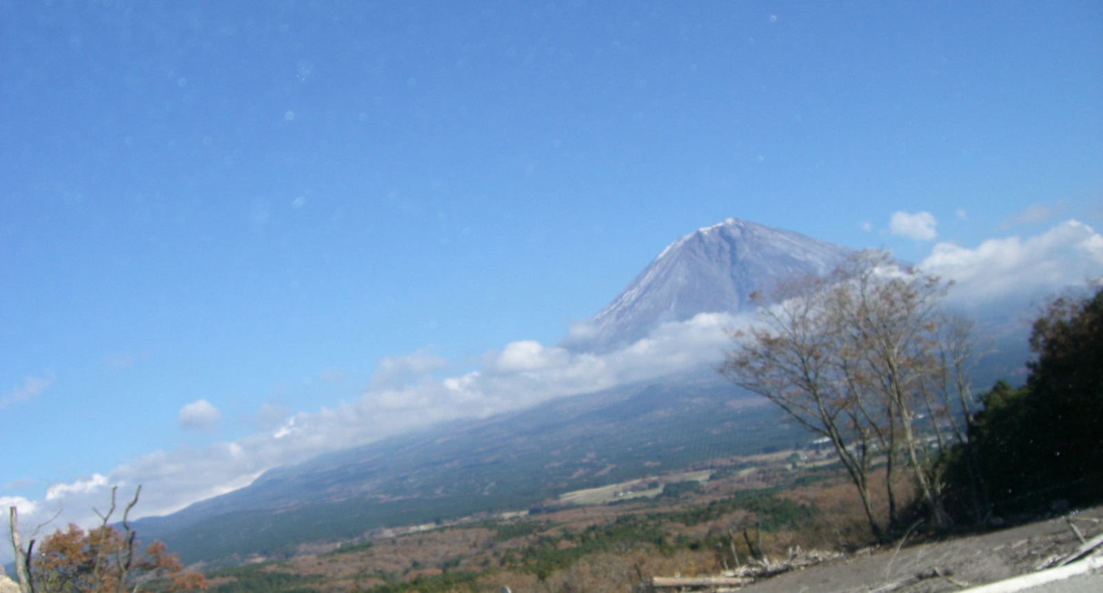 c0171899_16404437.jpg