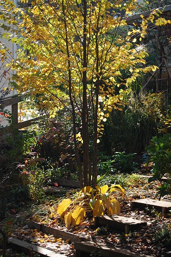 c0124100_015183.jpg