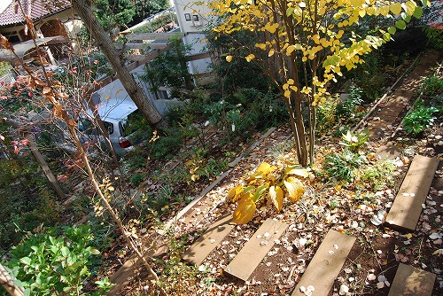 c0124100_0153212.jpg