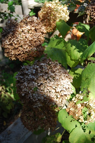 c0124100_0155719.jpg