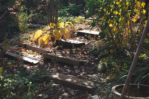 c0124100_015622.jpg