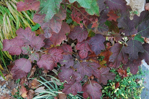 c0124100_016412.jpg