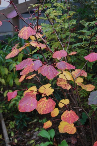 c0124100_0165492.jpg