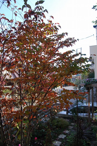 c0124100_0221639.jpg