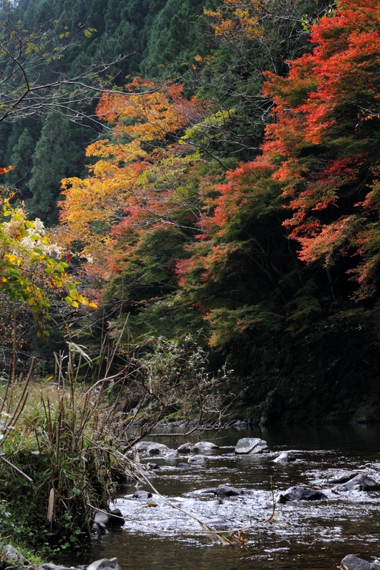 気ままに紅葉探しドライブ⑤_b0138101_9143975.jpg