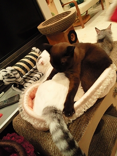 c0181601_1337632.jpg