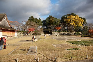 a0123003_2234114.jpg