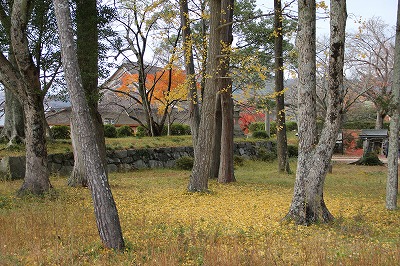 a0123003_22461949.jpg