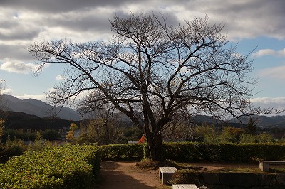 a0123003_22475411.jpg