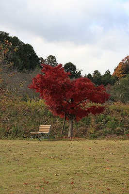 a0123003_2333925.jpg