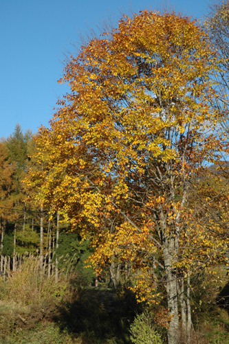 d0052904_0213512.jpg