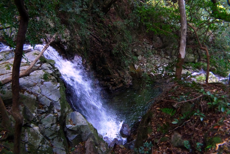 a0097006_2328167.jpg