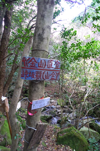 a0097006_2345997.jpg