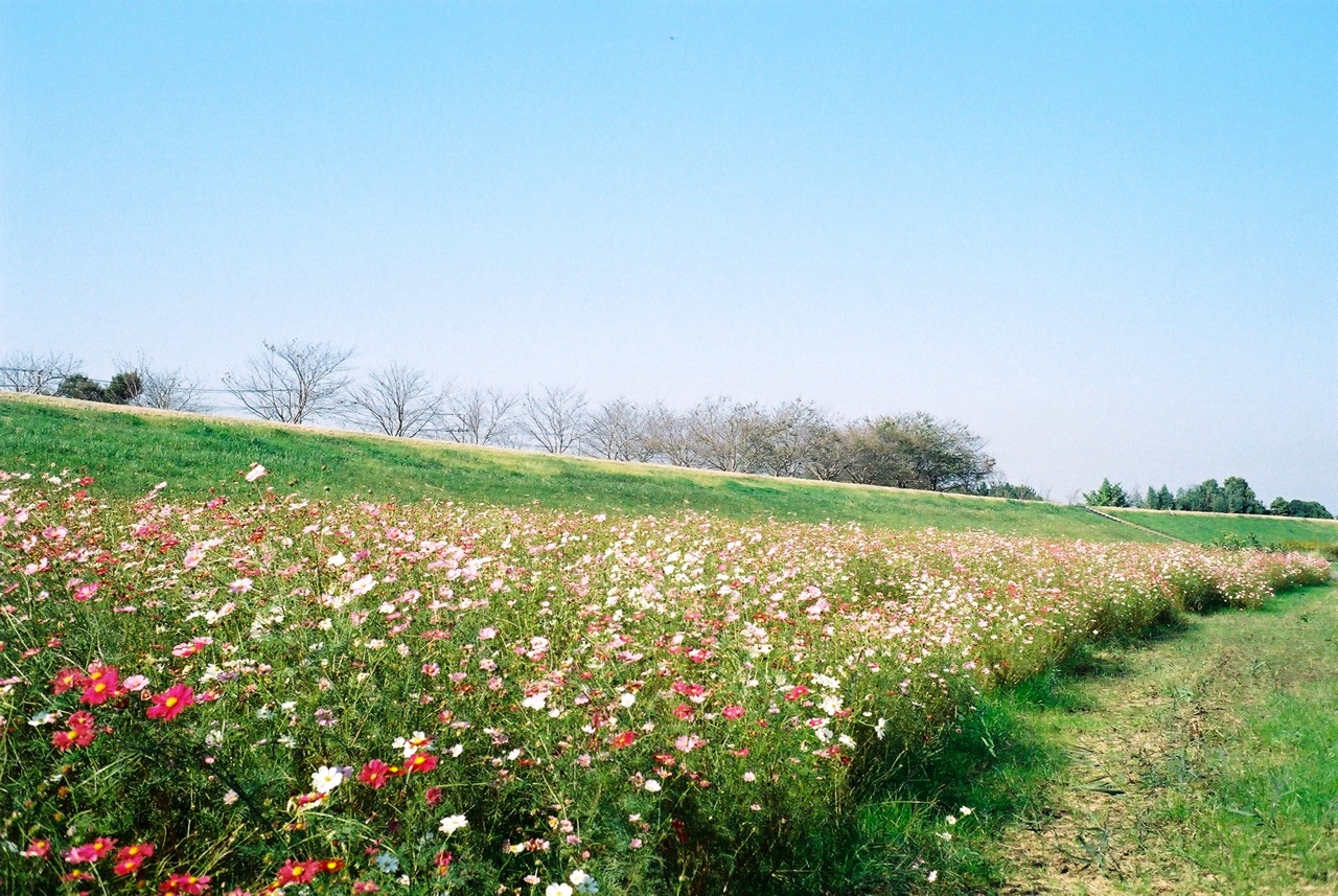 c0217406_14334250.jpg