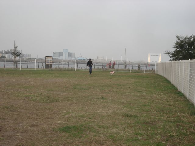 f0084806_8292751.jpg