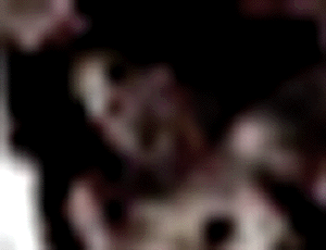 e0103408_0193858.gif